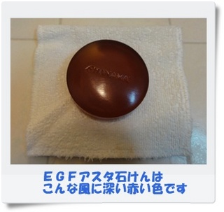 EGFアスタ石けん.jpg